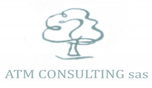 Logo ATM consulting perugia completo