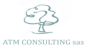 ATM Consulting Logo